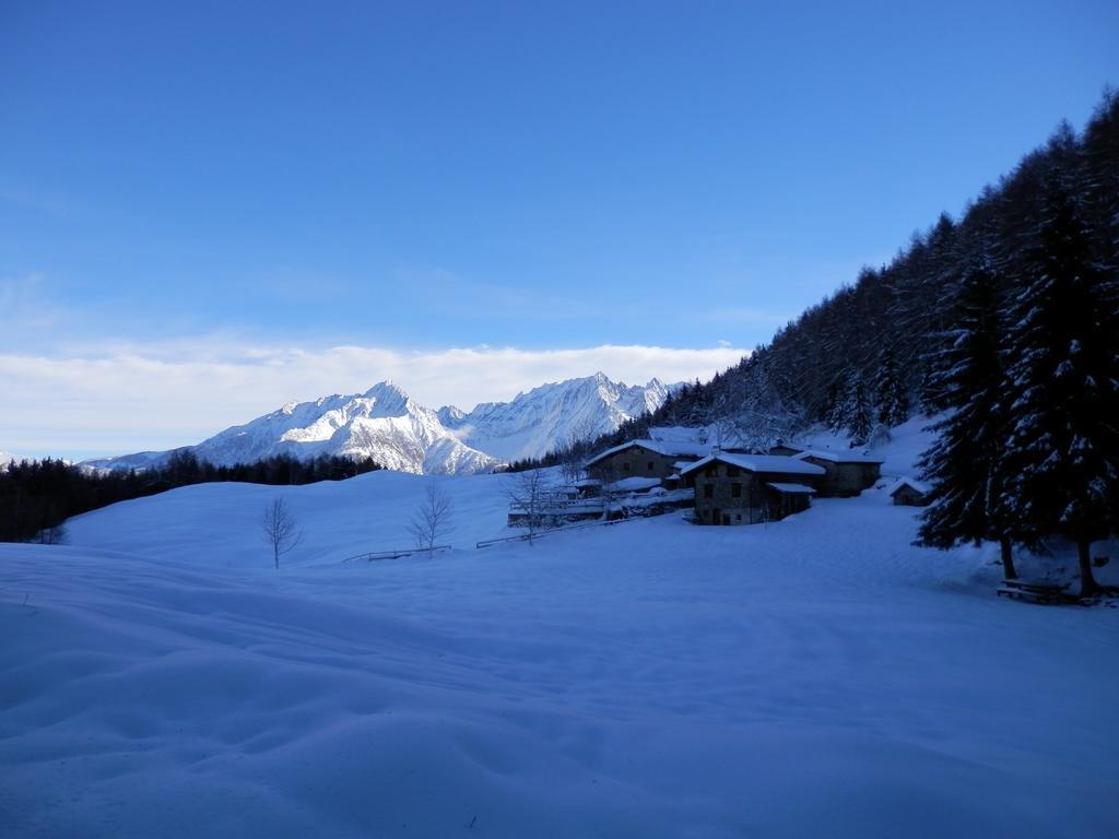 Casa Vacanza Dal Contadino Cir O17063 Corteno Golgi Ruang foto